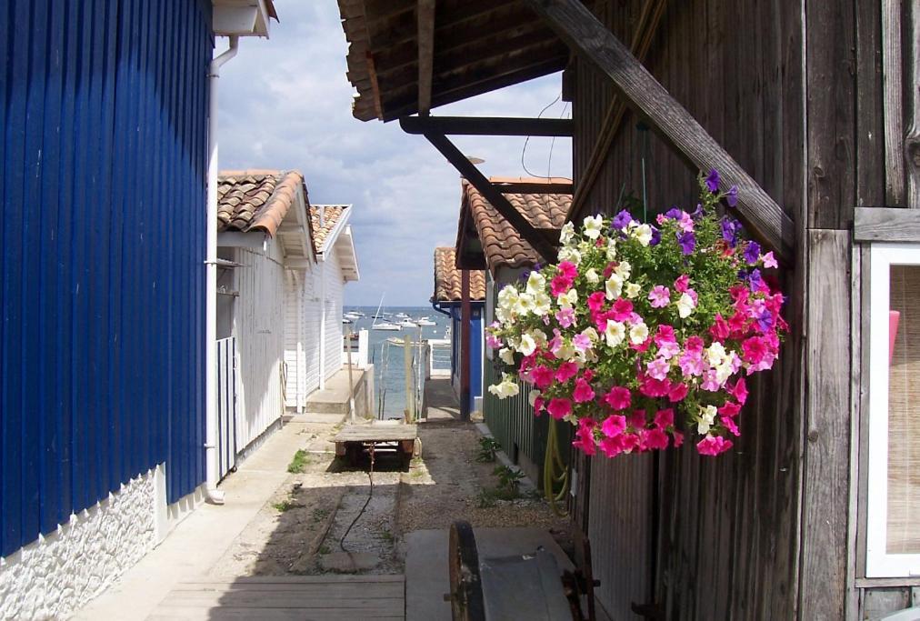 Lenoka Appartement La Teste-de-Buch Buitenkant foto